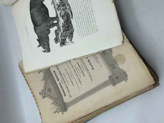 Zoologia morale esposta in cento venti discorsi in versi o in prosa. Fascicoli 1-46 (Manca fascicolo 11)